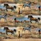 Horses on the Prairie Cotton Fabric | By The Yard | Sewing and Crafting | 44 inches wide